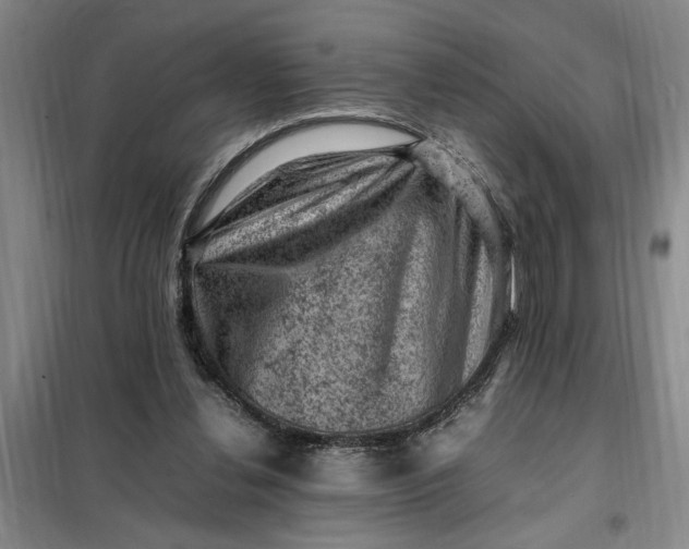X0000098160252200805011437