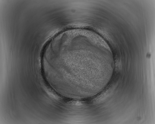X0000098160254200805011437