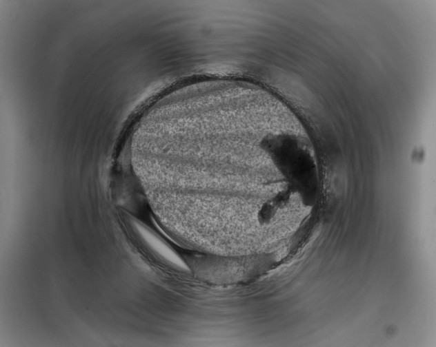 X0000098160256200805011437