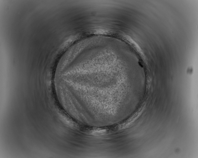 X0000098160257200805011437