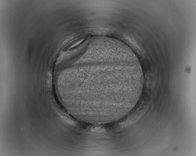 X0000098160258200805011437