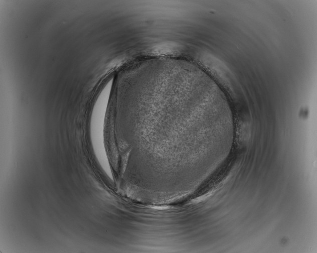 X0000098160260200805011437