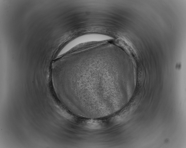 X0000098160261200805011437