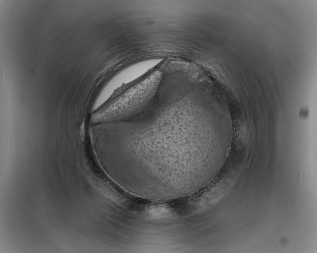 X0000098160262200805011437