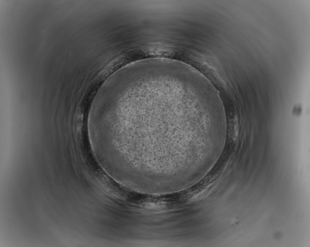 X0000098160263200805011437