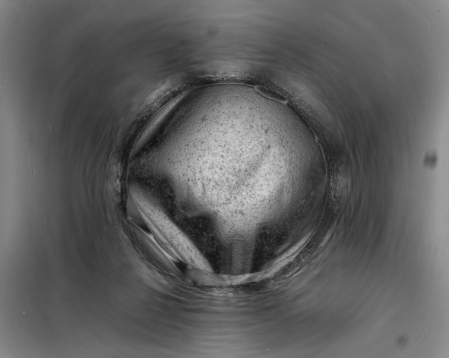 X0000098160264200805011437