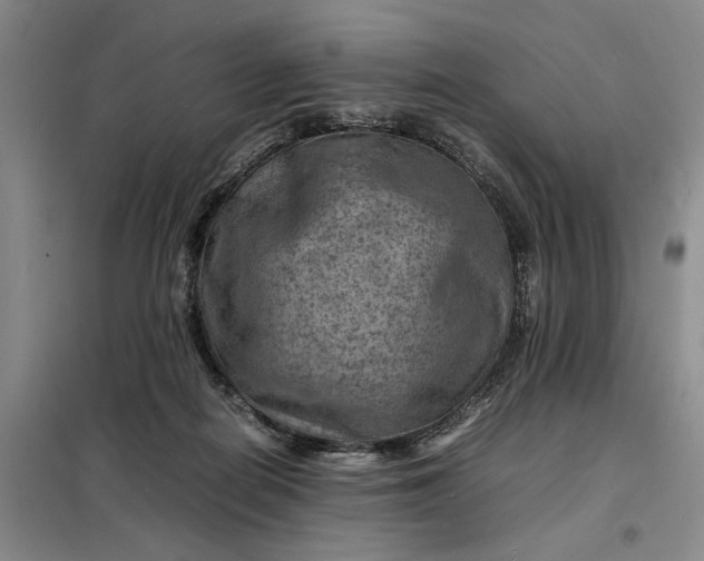 X0000098160266200805011437