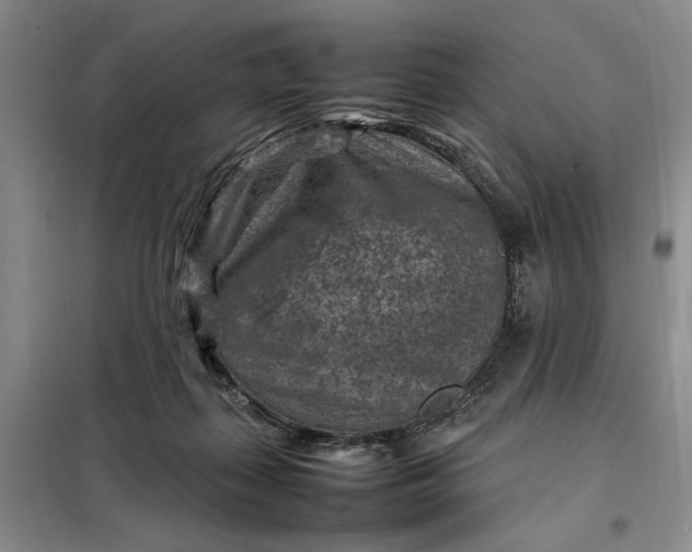 X0000098160267200805011437