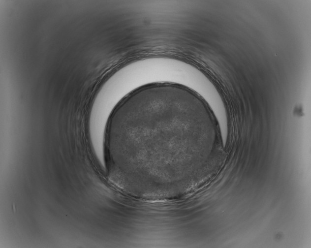 X0000098160268200805011437