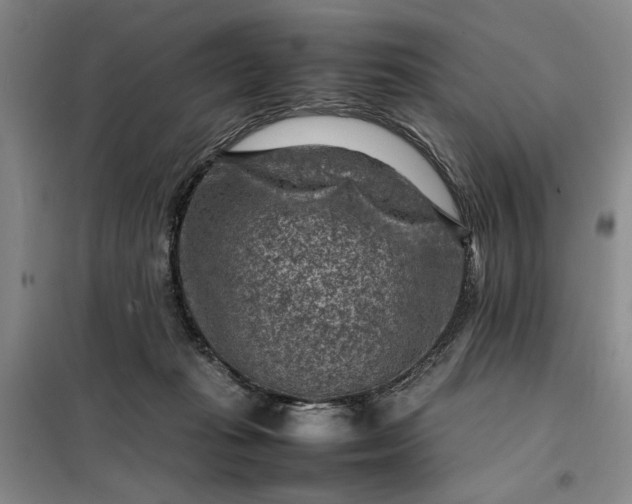 X0000098160269200805011437