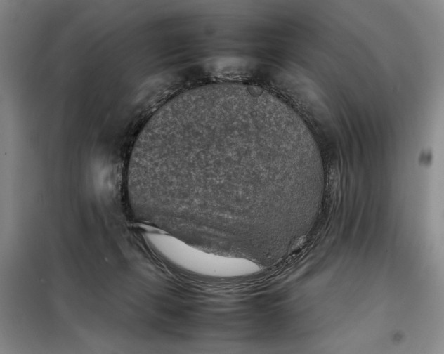 X0000098160271200805011437