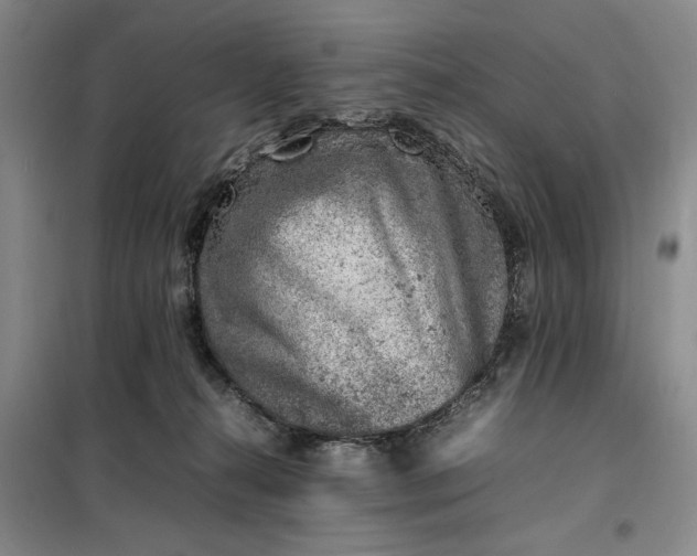X0000098160272200805011437