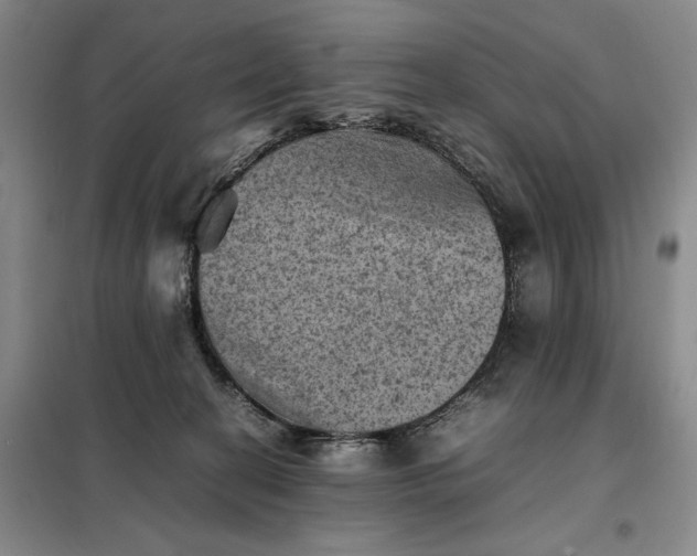 X0000098160274200805011438
