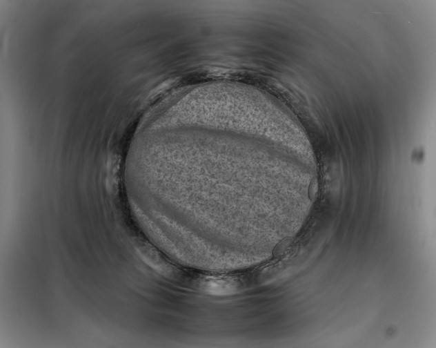 X0000098160275200805011438