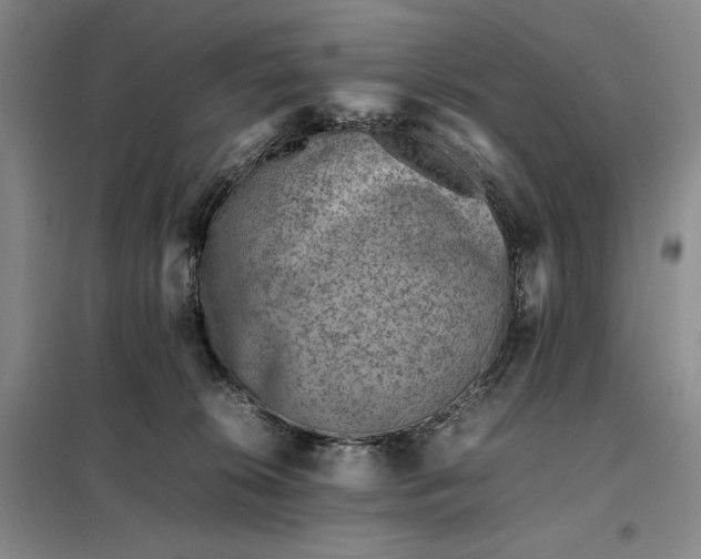 X0000098160276200805011438