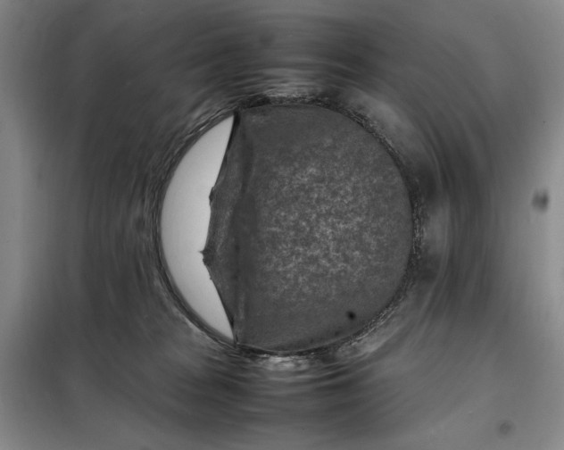 X0000098160277200805011438