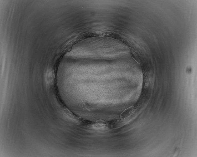 X0000098160279200805011438