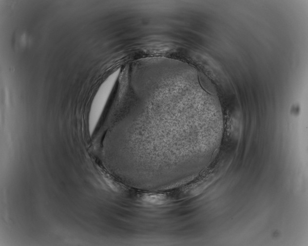 X0000098160283200805011438