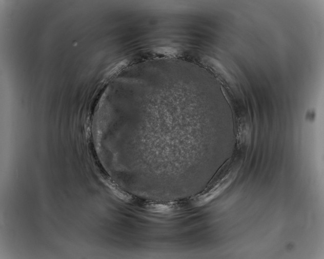 X0000098160285200805011438