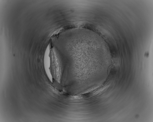 X0000098160286200805011438