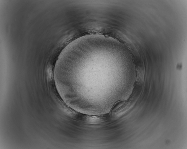 X0000098160287200805011438