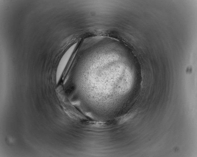 X0000098160288200805011438