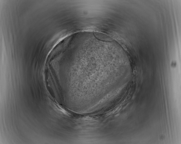 X0000098160290200805011437
