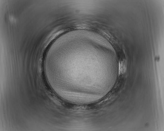 X0000098160291200805011437