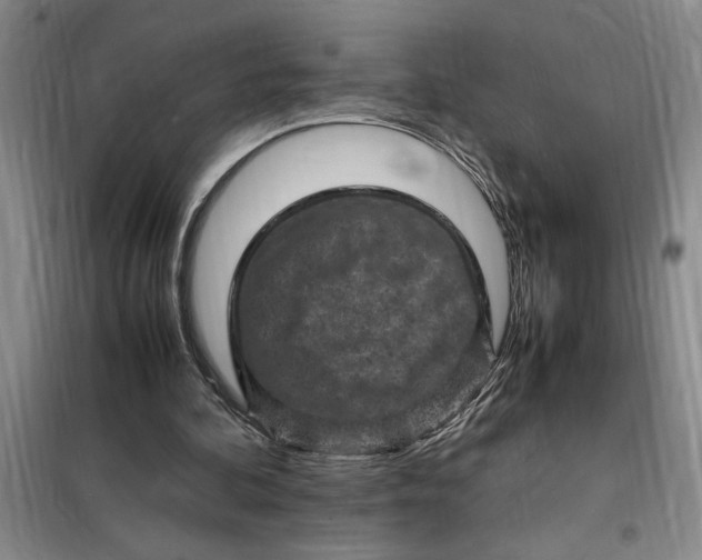 X0000098160292200805011437