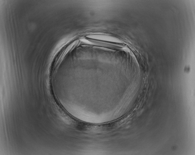X0000098160293200805011437
