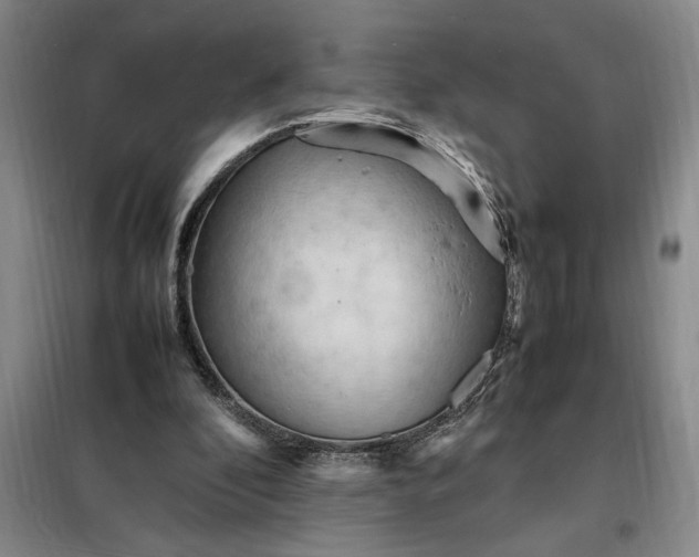 X0000098160296200805011437