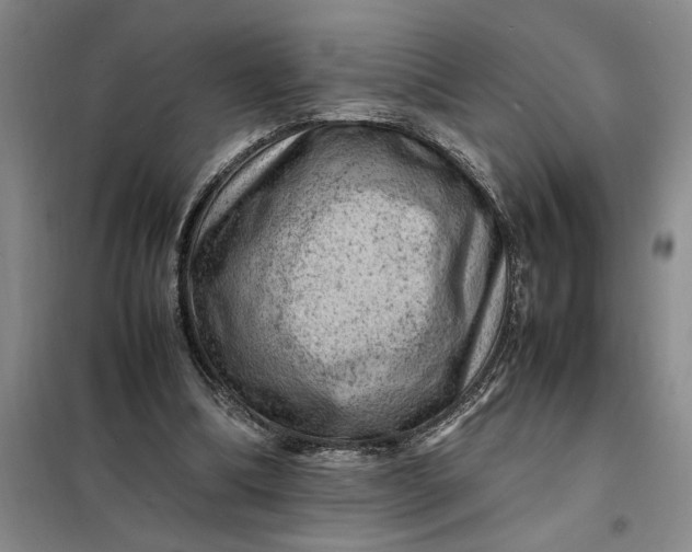 X0000098160298200805011437