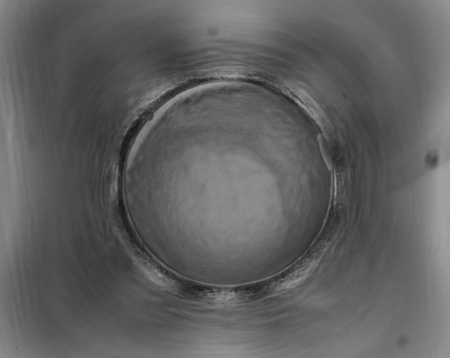 X0000098160301200805011437