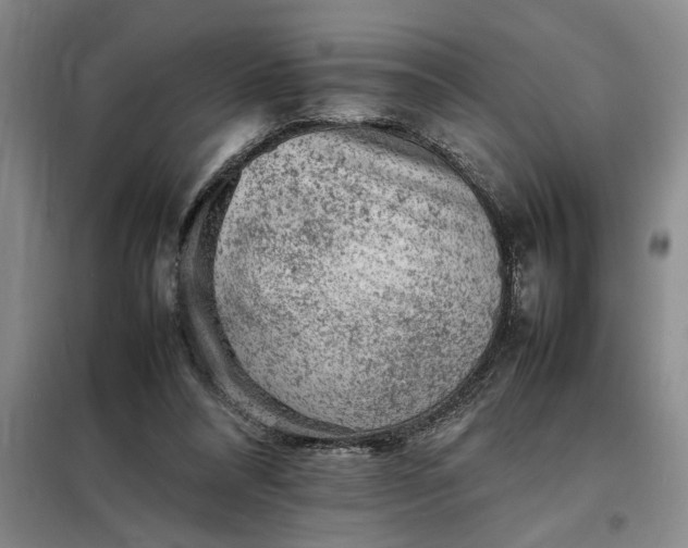 X0000098160304200805011437