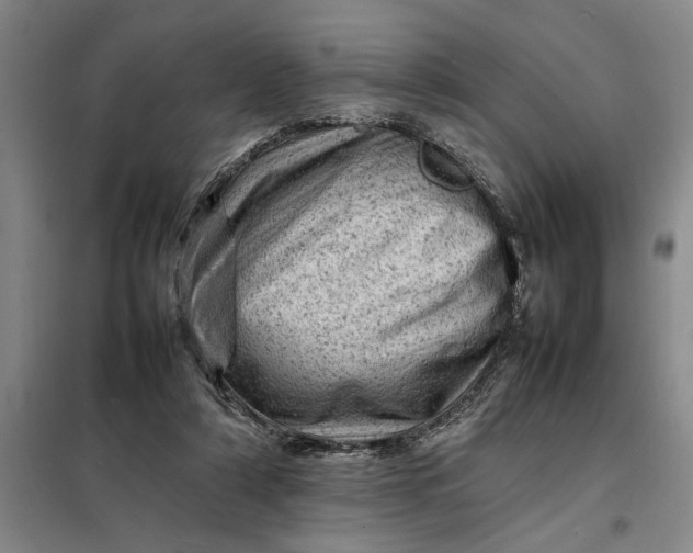 X0000098160306200805011437