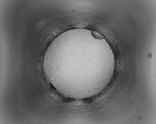 X0000098160307200805011437