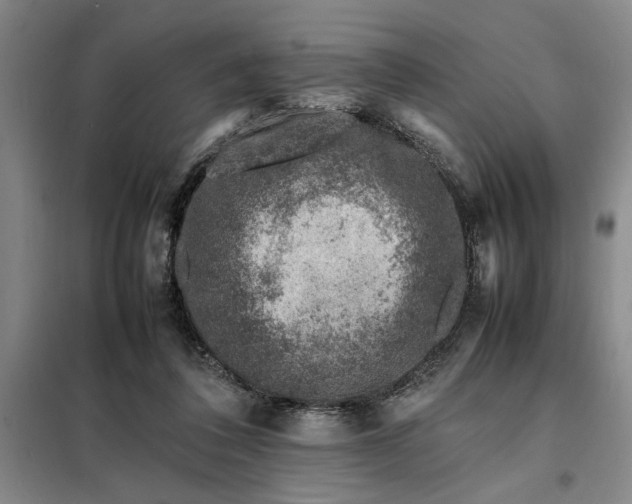 X0000098160308200805011437