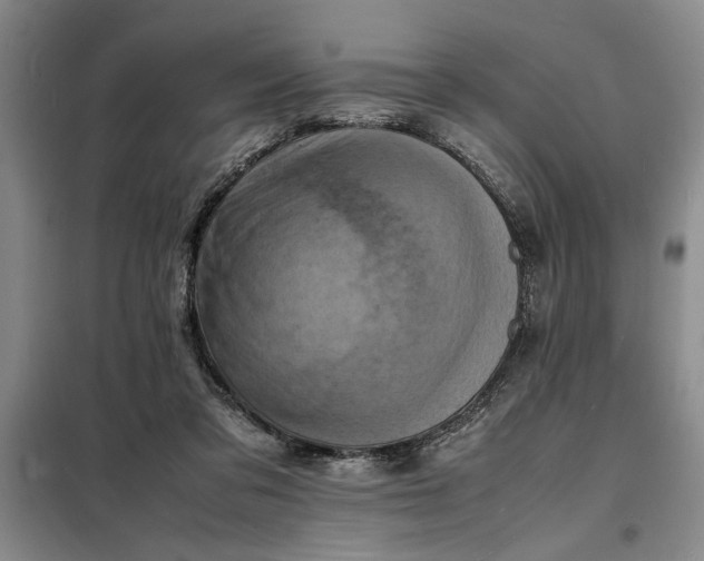 X0000098160309200805011437