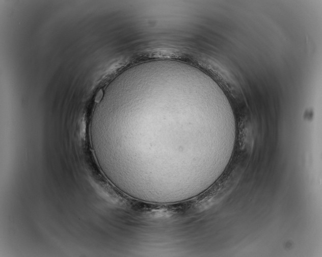 X0000098160310200805011437