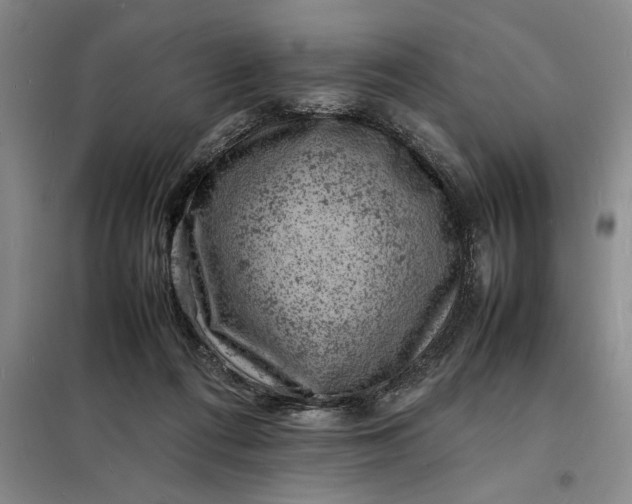 X0000098160312200805011437
