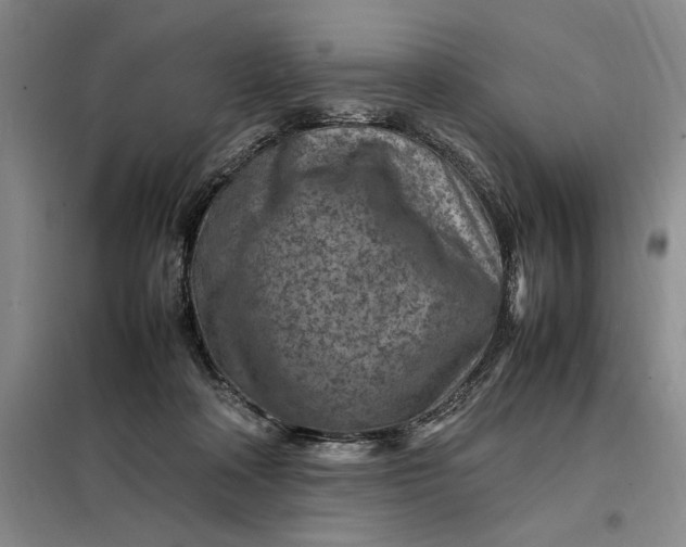 X0000098160314200805011437