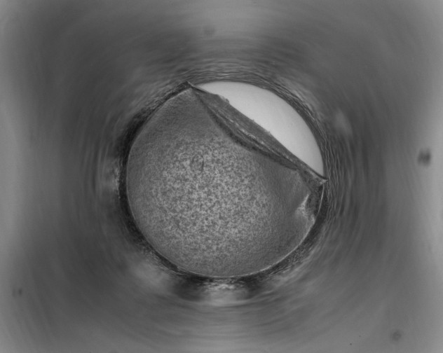 X0000098160315200805011437