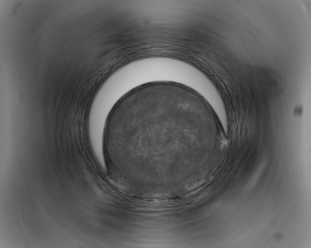 X0000098160316200805011437