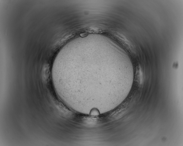 X0000098160318200805011437