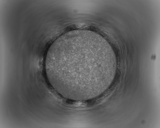 X0000098160319200805011437