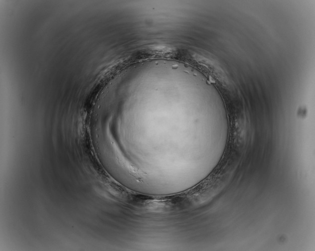X0000098160320200805011437