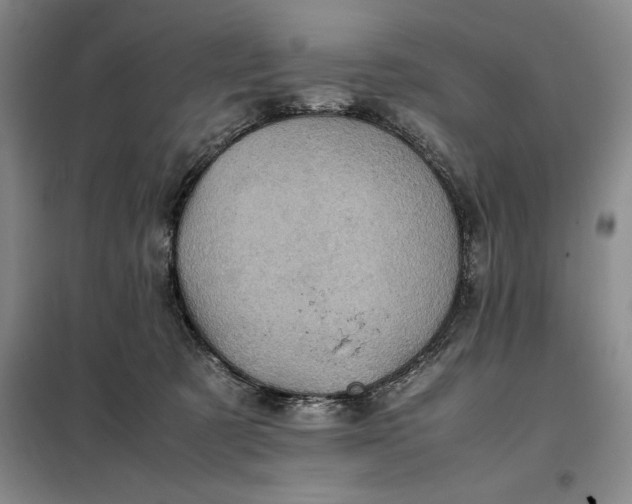 X0000098160321200805011437