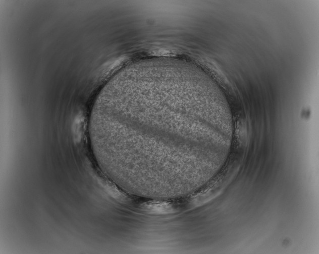 X0000098160322200805011437