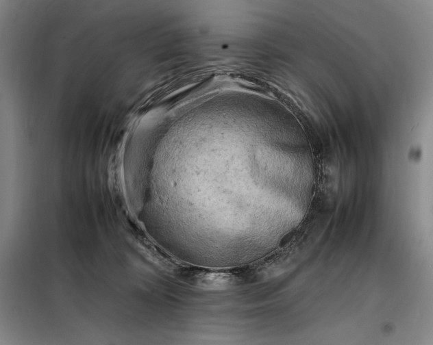 X0000098160324200805011437