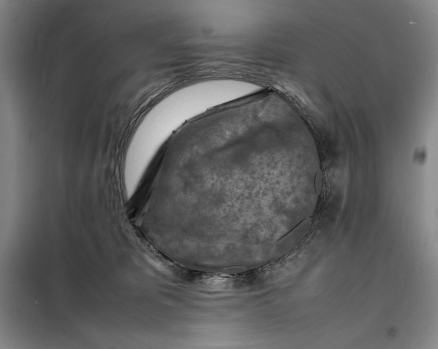X0000098160325200805011437